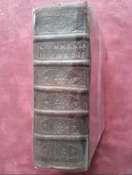 ZOESIS Commentarius digestorum pandectarum 1725